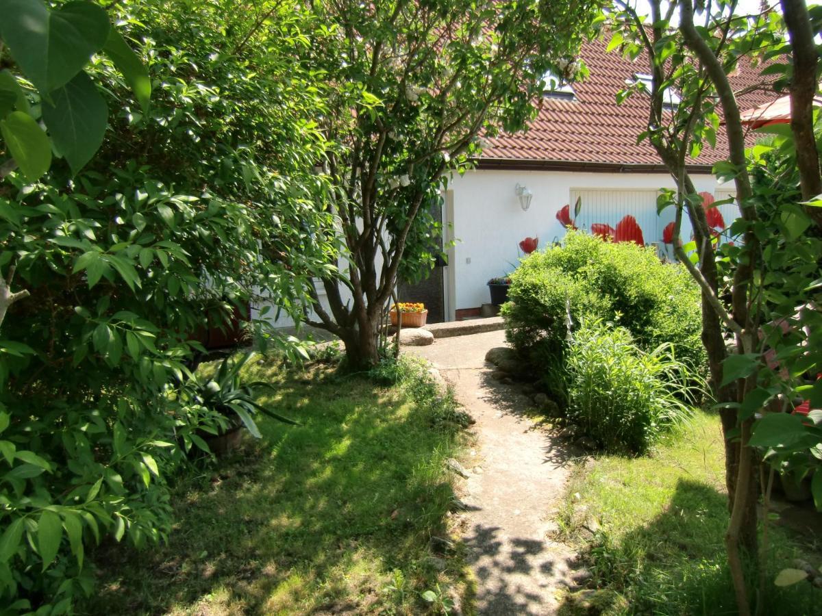 Inselromantik Ruegen Hotel Dreschvitz Buitenkant foto